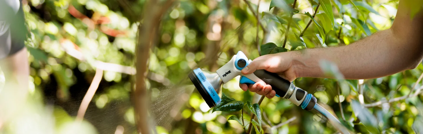 When to water your garden?