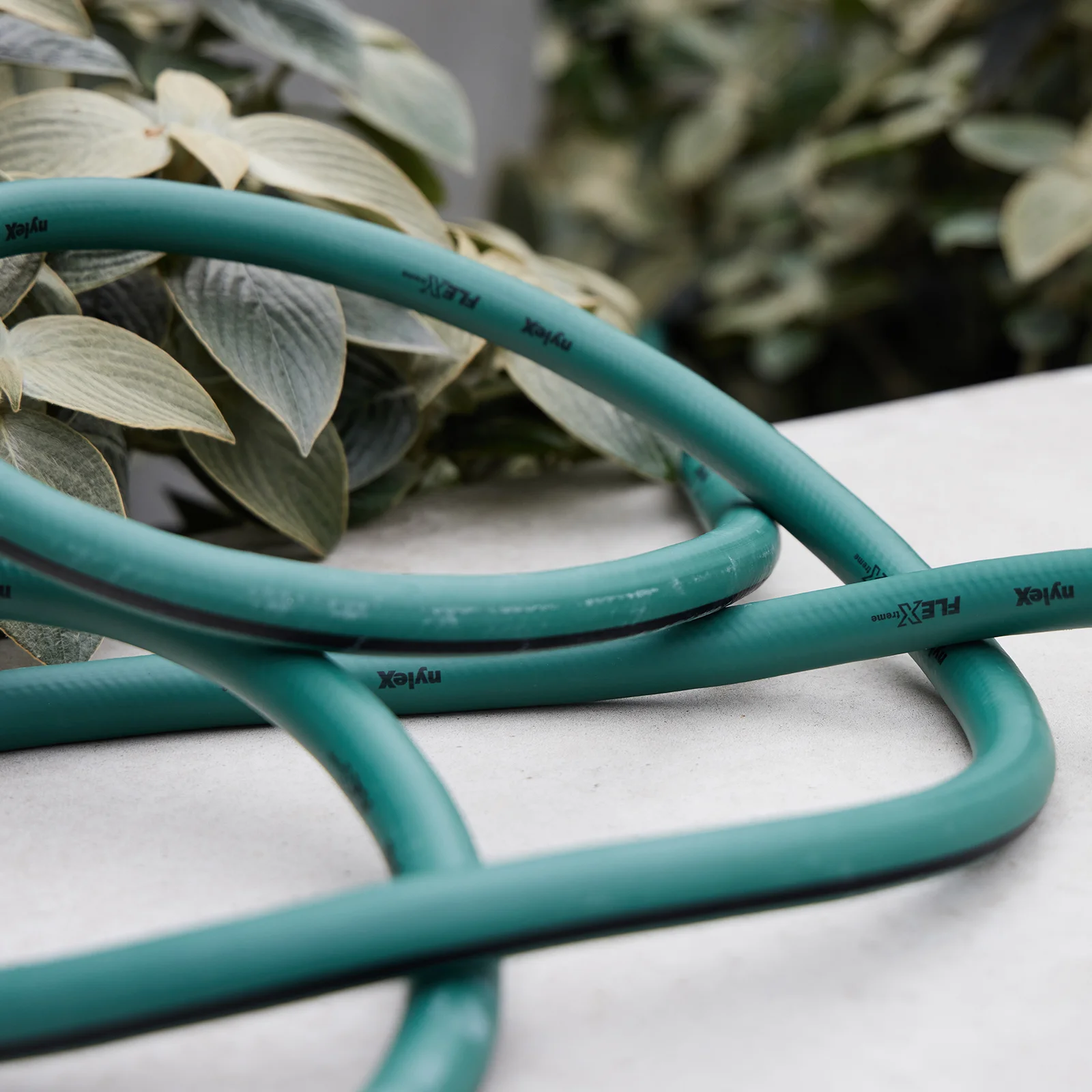 How to Care for Your Garden Hose