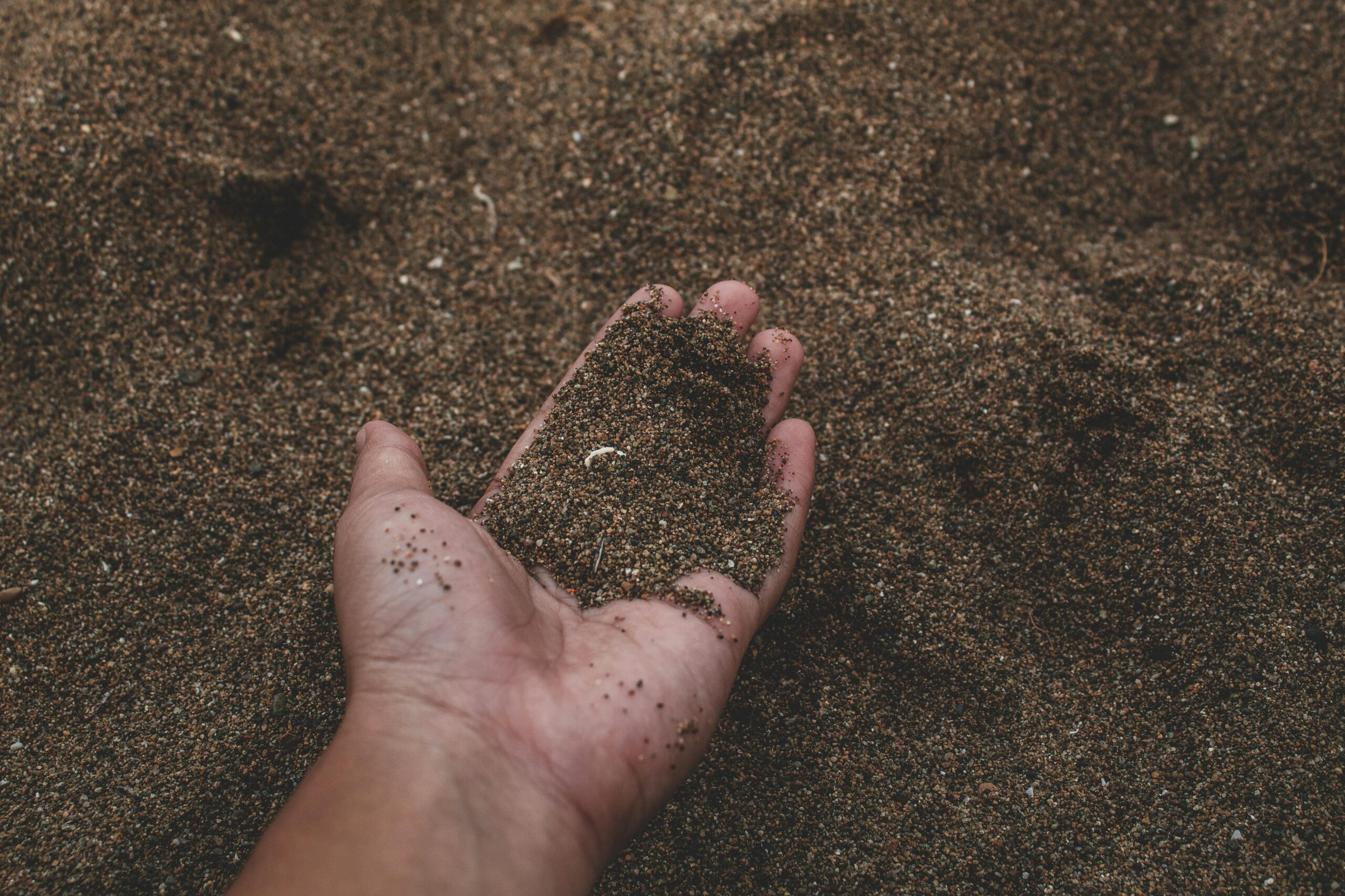 Understanding Your Garden Gold – Soil Care