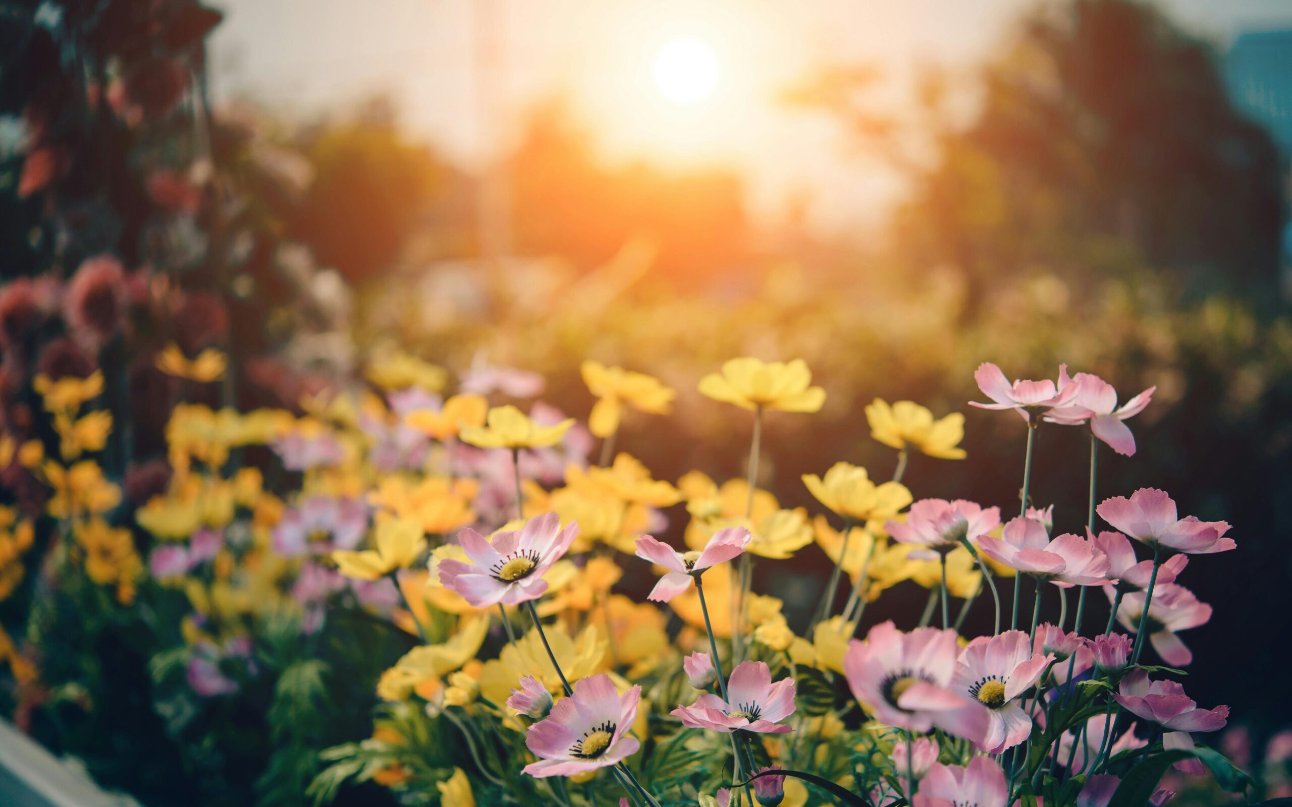 8 Essential Tasks for a Thriving Spring Garden